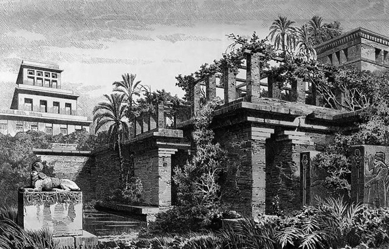 jardines colgantes de babilonia jardineria jardin vertical historico litofilas