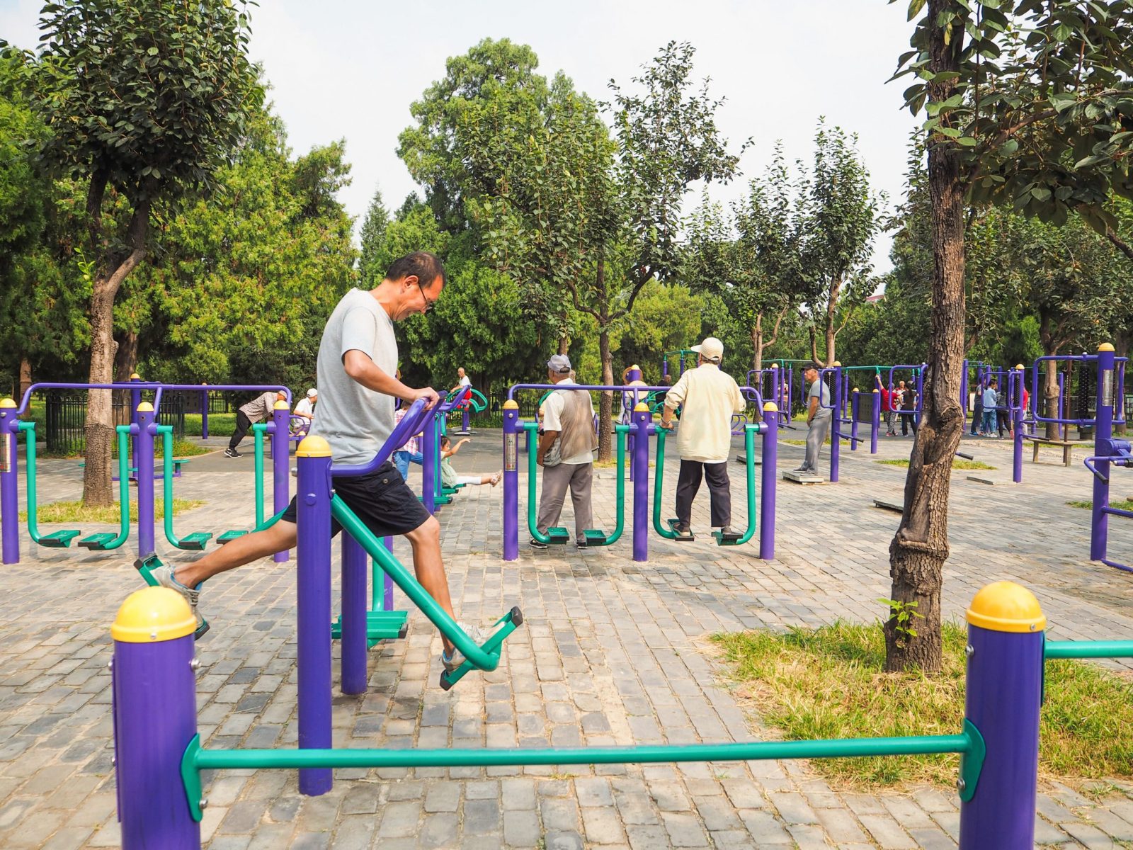 aparatos de gimnasio para ejercicio actividad personas mayores parques scaled