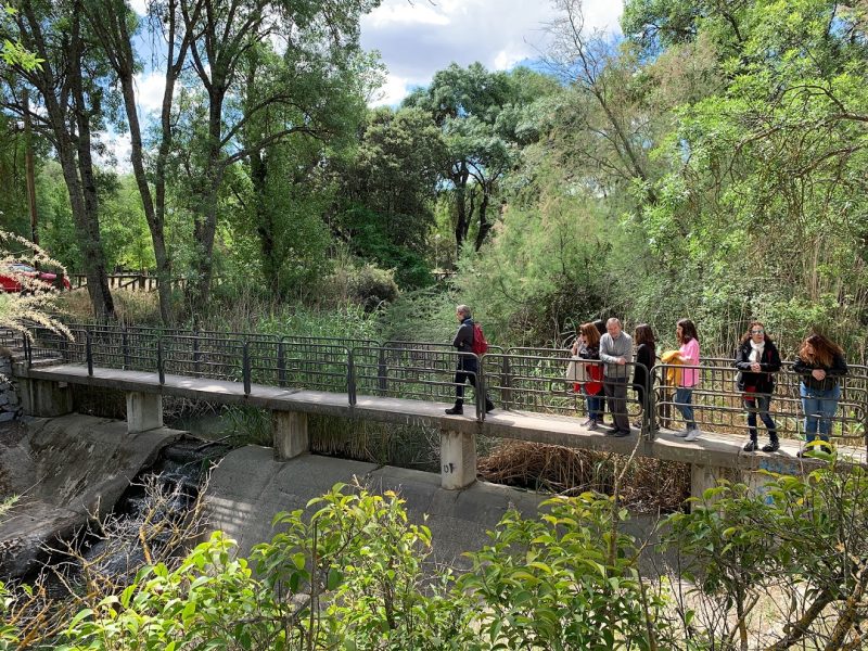 Azud arroyo Meaques madrid caminar el agua paseos sostenibilidad gestion hidrica