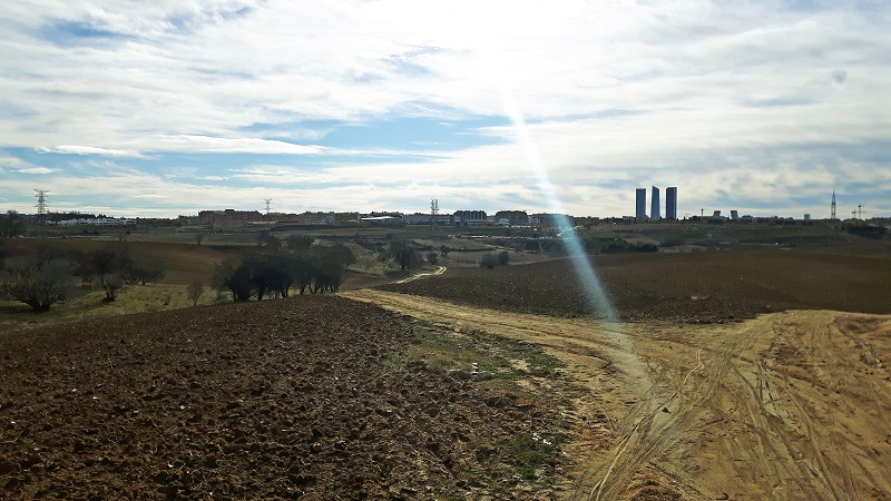 skyline de madrid cuatro torres campos agricolas prepardo monte de El Pardo cerca historica cereales